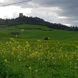 https://la-casa-del-susino.it-tuscanyhotel.com